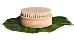 skin-brush