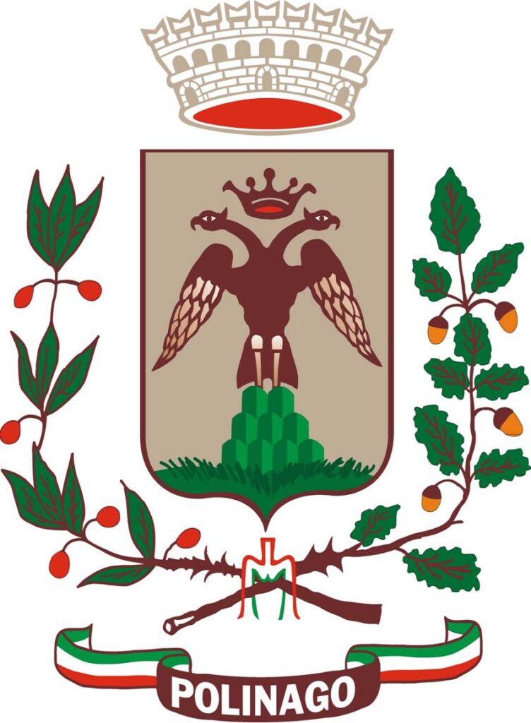 Patrocinio Comune Polinago